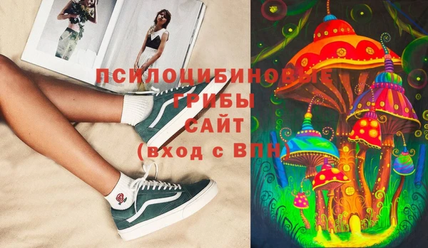 прущие крисы Елизово
