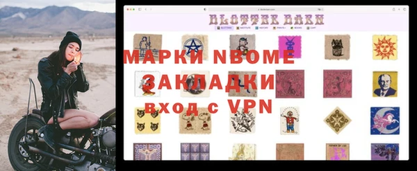мдпв Ельня