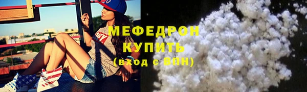 мдпв Ельня