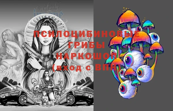 мдпв Ельня