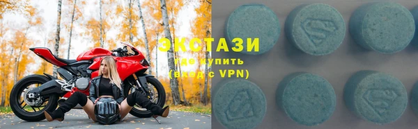мдпв Ельня