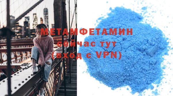 мдпв Ельня