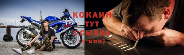 мдпв Ельня
