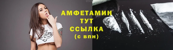 молекула духа Елабуга