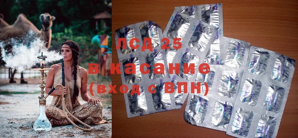 молекула духа Елабуга