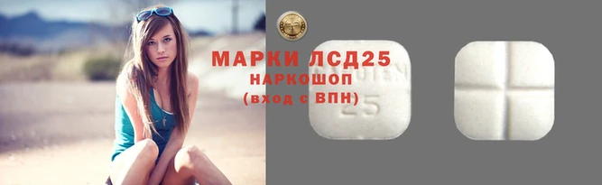 прущие крисы Елизово