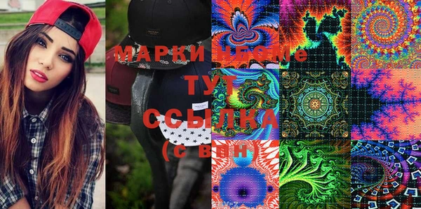 мдпв Ельня