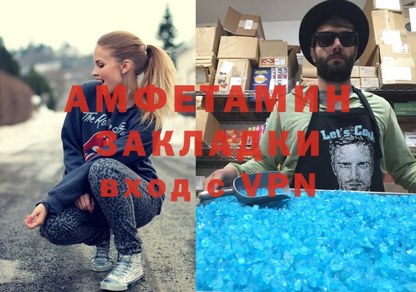мдпв Ельня