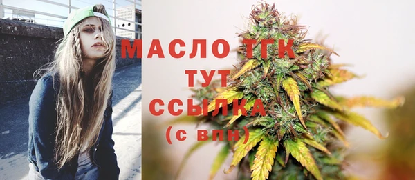 молекула духа Елабуга