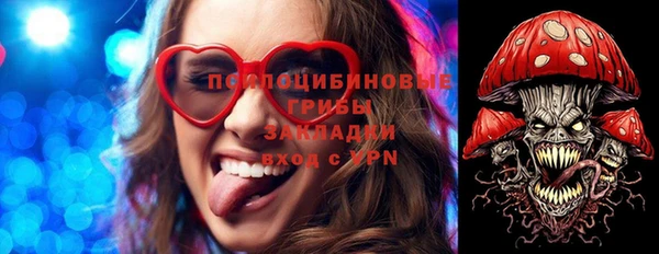 мдпв Ельня
