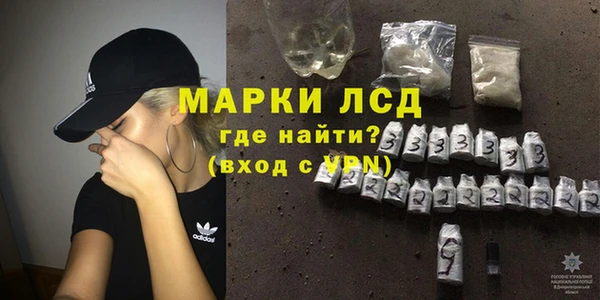 мдпв Ельня