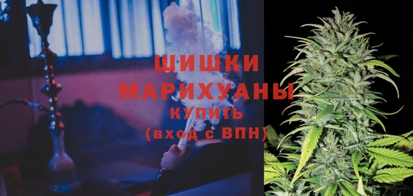 мдпв Ельня