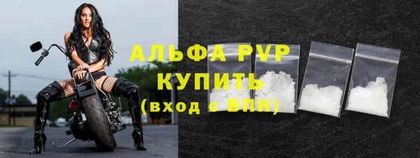 мдпв Ельня